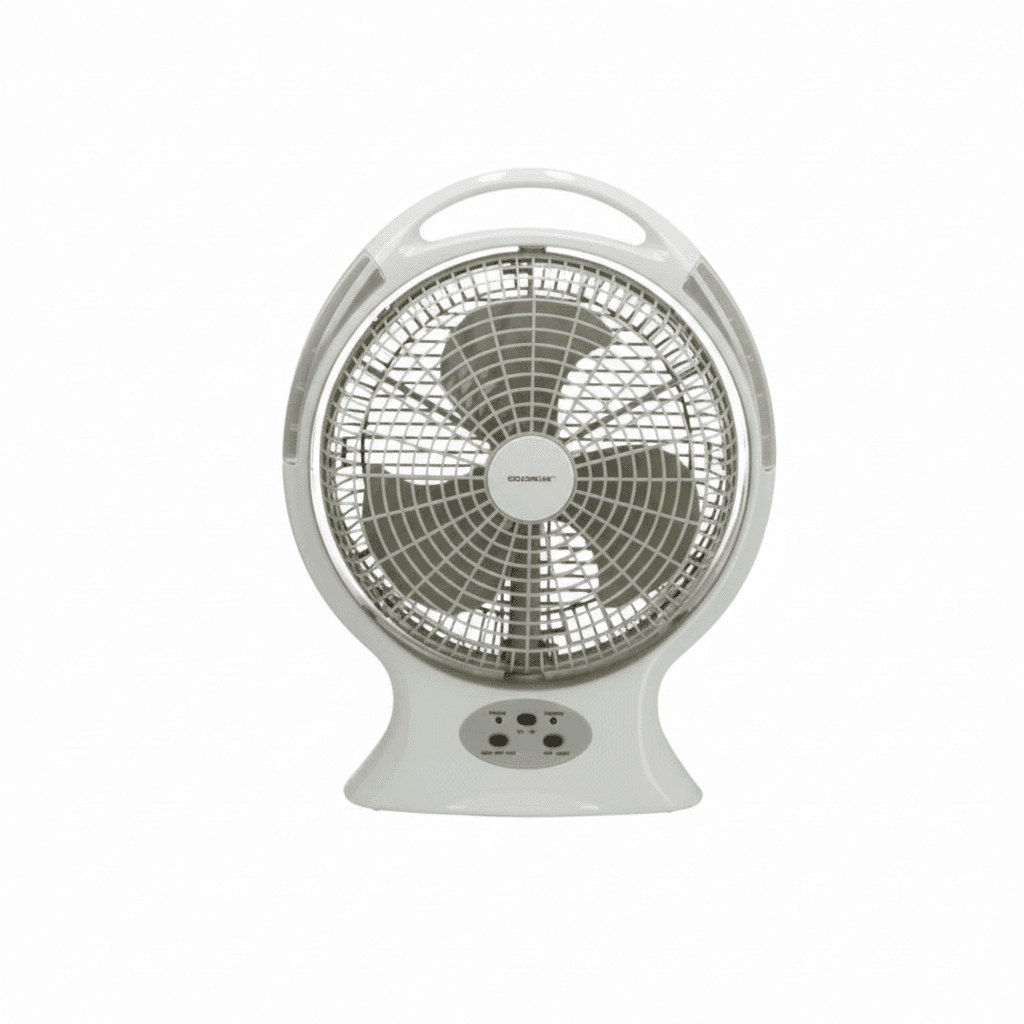 Folding Fan